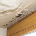 How long does it take for a roof leak to show?