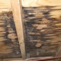 Why is roof leaking?