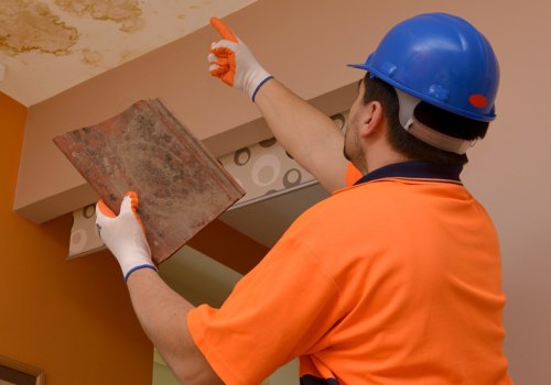 Who can check my roof for leaks?