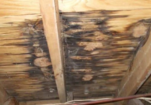 Roof leak reasons?